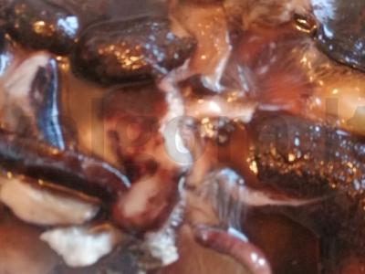 Juodasis grybų sūdymas Žingsnis 1