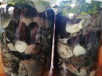 Juodasis grybų sūdymas Žingsnis 3