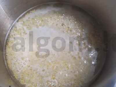 Kasha „Draugystė“ Žingsnis 1