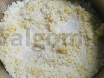 Kasha „Draugystė“ Žingsnis 3