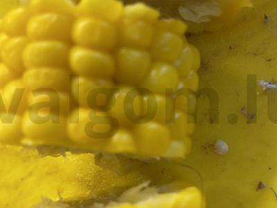 Salotas „Pipirų, kukurūzų ir jautienos sąjunga“ Žingsnis 2