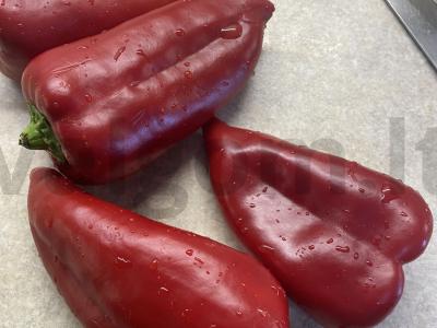 Salotas „Pipirų, kukurūzų ir jautienos sąjunga“ Žingsnis 5