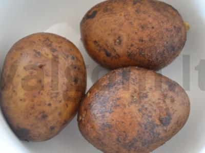 Salotos su jūros kopūstais Žingsnis 1