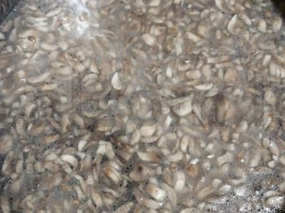 Grybų sriuba-pyragas su šampinjonais Žingsnis 3