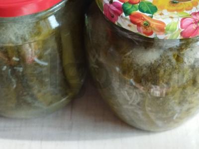 Agurkai garstyčių marinate žiemai pagrindine nuotrauka