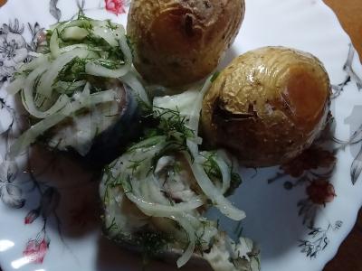 Skumbrijos sagudai pagrindine nuotrauka