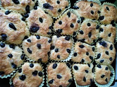 Varškės keksiukai su uogomis pagrindine nuotrauka