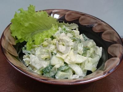 Salotos su agurkais, lediniu ir romanu pagrindine nuotrauka