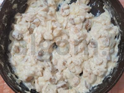 Švelnus vištienos frikase su pievagrybiais pagrindine nuotrauka