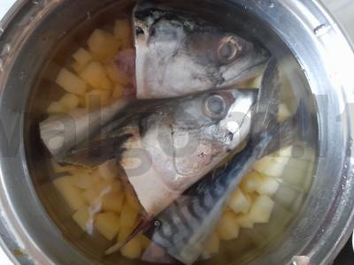 Skumbrijos galvų sriuba Žingsnis 3