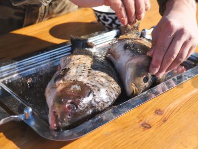 Karpių karštas rūkymas katile ant laužo Žingsnis 1