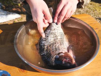 Karpių karštas rūkymas katile ant laužo Žingsnis 2
