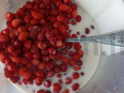 Vasaros desertas Žingsnis 2