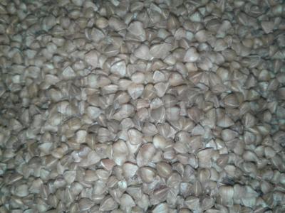 Grikių košė su grybais ir svogūnais Žingsnis 4