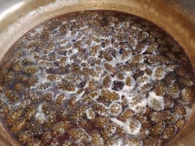 Pušų spyglių uogienė Žingsnis 4