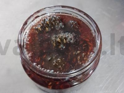 Pušų spyglių uogienė Žingsnis 6