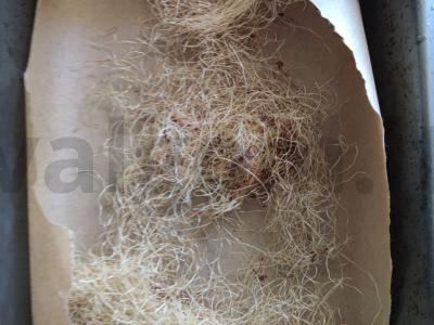 Kiaulienos šašlykas ant kokoso pluošto Žingsnis 3