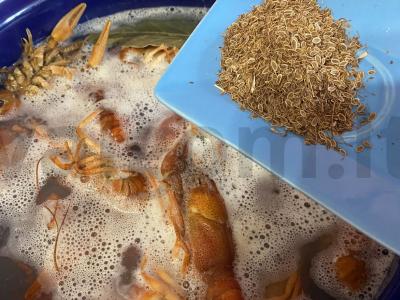 Sultingi ir kvapnūs vėžiai Žingsnis 4