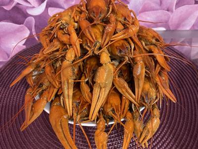 Sultingi ir kvapnūs vėžiai pagrindine nuotrauka