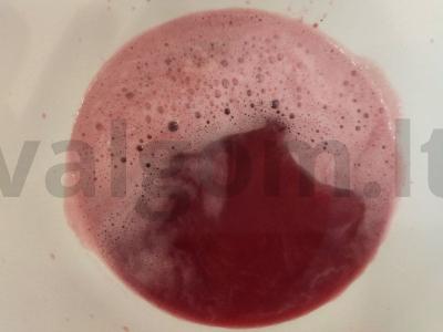 Vitamininė šipučka iš granato ir spanguolių Žingsnis 2