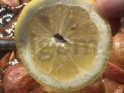 Vasaros gaivus kompotas su citrina ir mėta Žingsnis 4